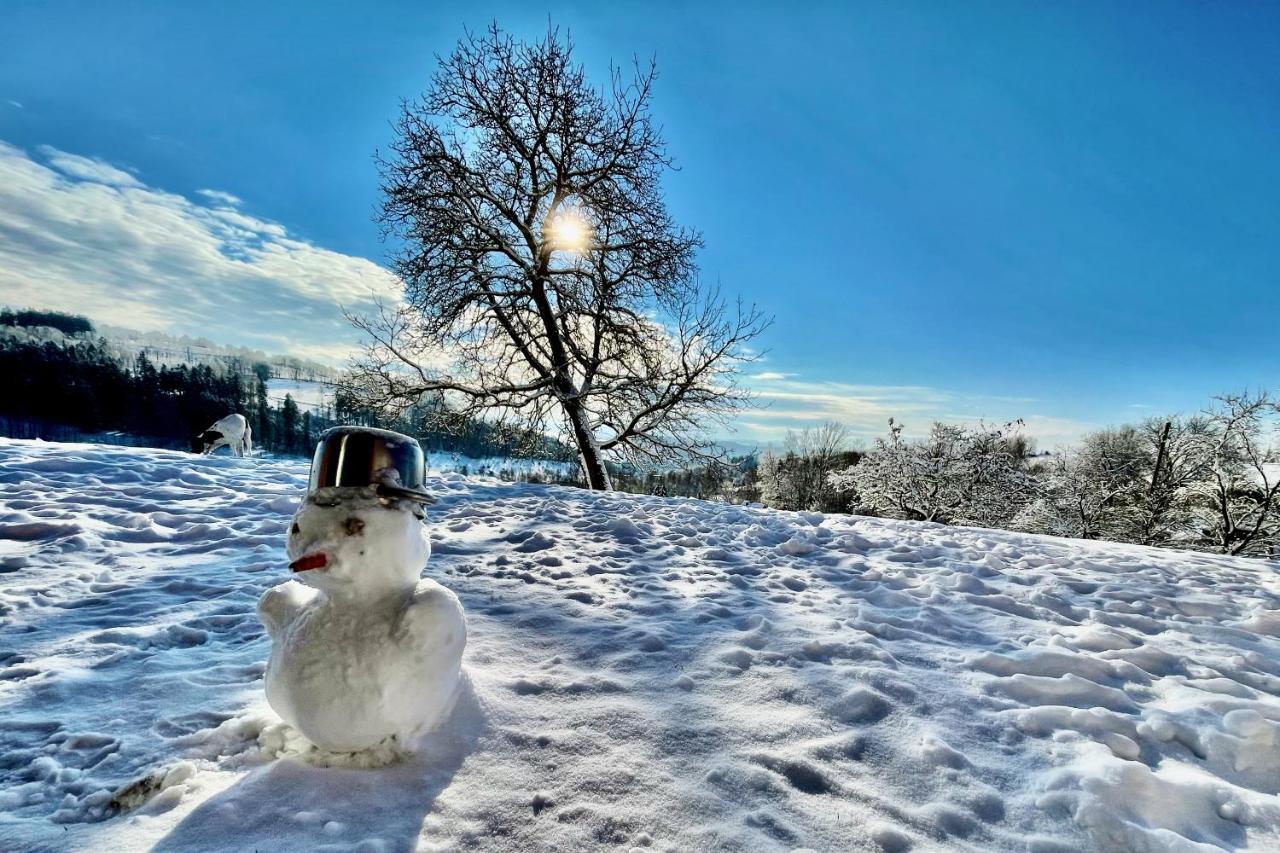 Dead Fox Chalupa Na Samote Vichova nad Jizerou Bagian luar foto